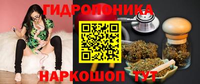молекула духа Кандалакша