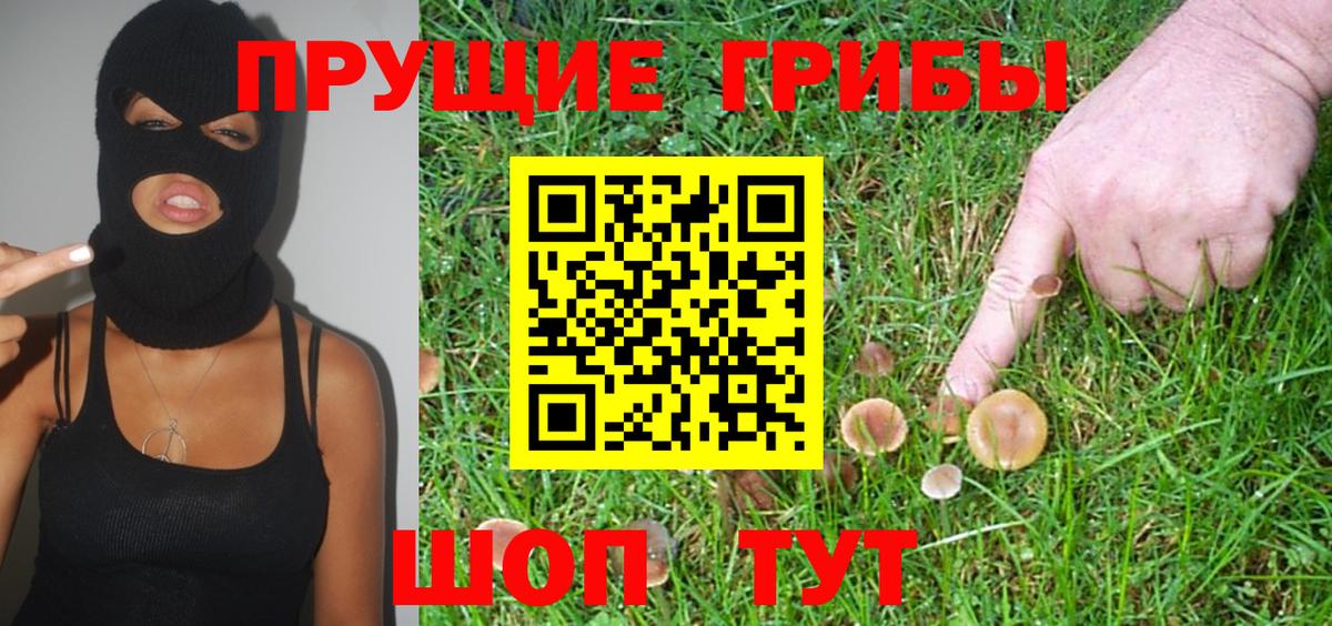 Бутурлиновка  как найти закладки  Вход с VPN  Псилоцибиновые грибы мухоморы 