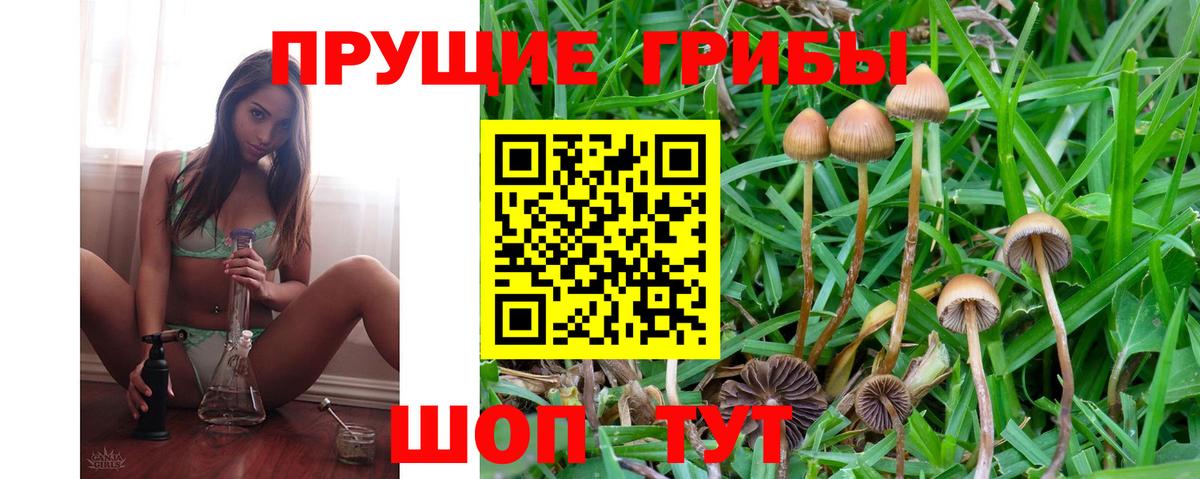 Галлюциногенные грибы Magic Shrooms Бутурлиновка
