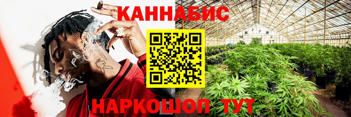 Конопля гибрид Бутурлиновка